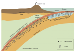 Subducting Plate Faults